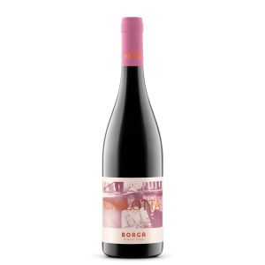 Carlotta Borga Raboso Doc Piave - Borga